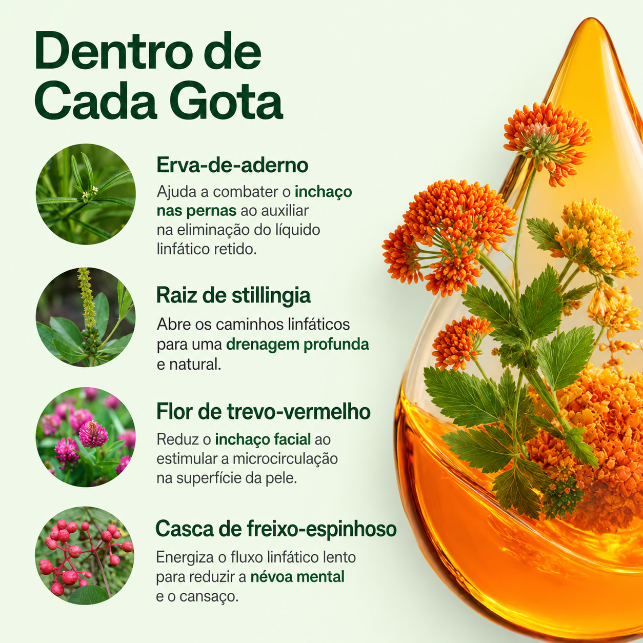 Reviva® Gotas para Drenagem Linfática..